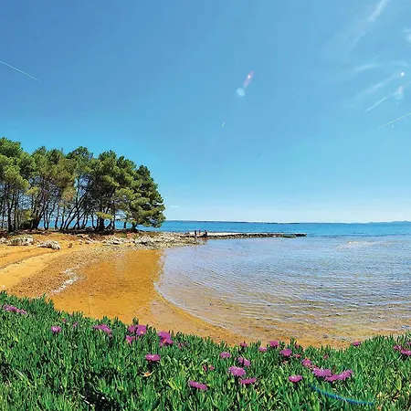 Stunning In With Wifi