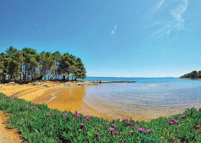 Stunning In With Wifi